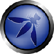 Logo-owasp.gif